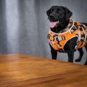Orange Camouflage Pet Harness